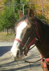 Babe